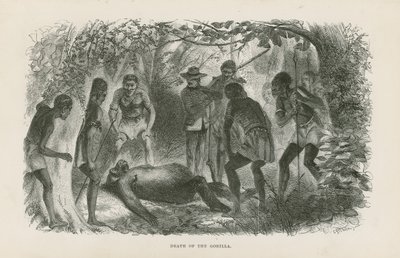 Muerte del gorila de English School