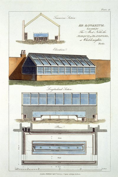 Diseño para un Acuario, ejecutado para el Marqués de Blandford en Whiteknights, 1806 de English School