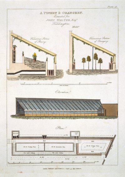 Diseño para una Piñera y Naranjal en Teddington, 1806 de English School