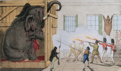 Destrucción del noble elefante en el Exeter Change del Sr. Cross, 1826 de English School