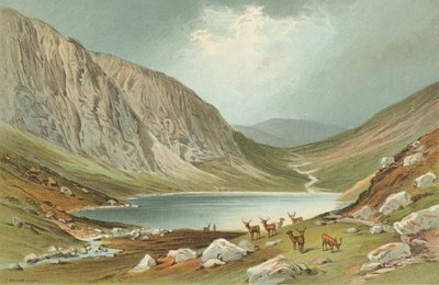 Dhu Loch - Loch-Na-Gar de English School