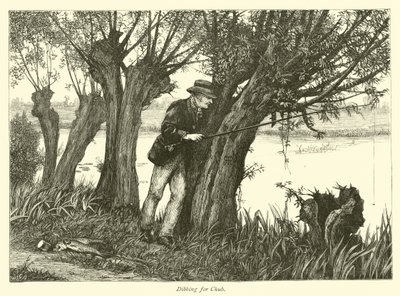 Pesca de Cacho de English School