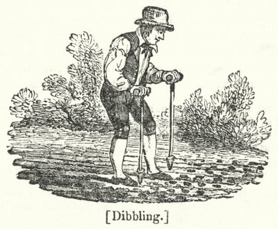 Dibbling de English School