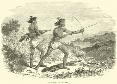 Excavadores en tierra de English School