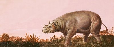 Dinosaurio de English School