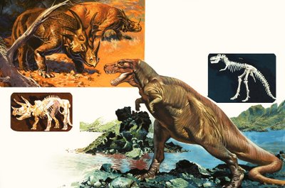 Dinosaurios y esqueletos. Stegosaurus y Tyrannosaurus de English School