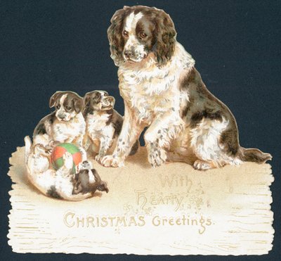 Perro y cachorros de English School