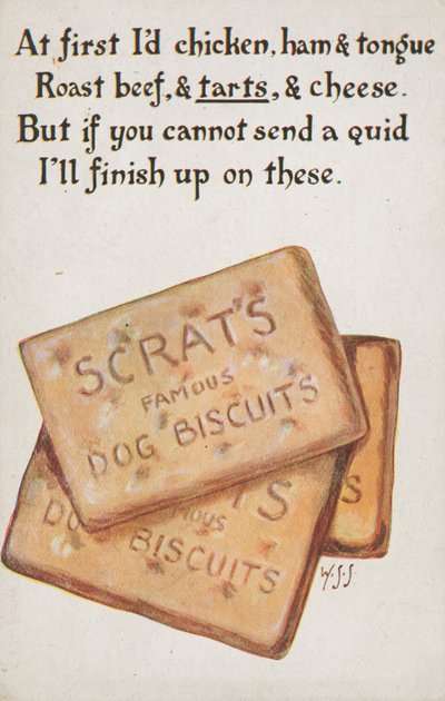 Galletas para perros (lito de color) de English School
