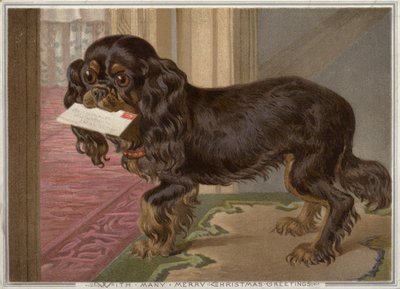 Perro llevando una carta en la boca de English School