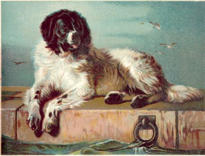 Perro sentado al borde del mar (cromolito) de English School