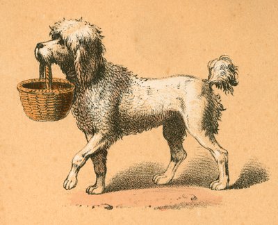 Perro con cesta de English School