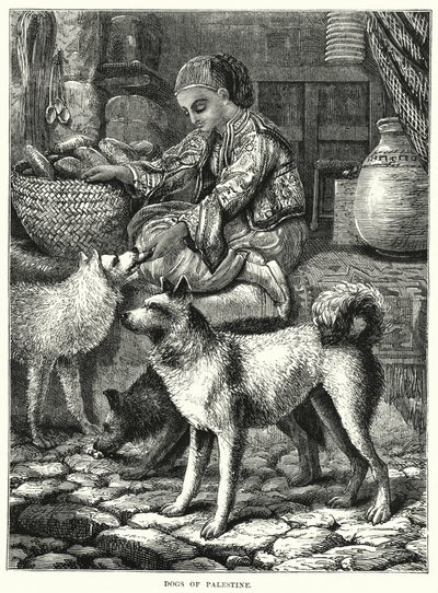Perros de Palestina (grabado) de English School