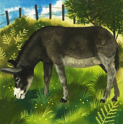 Burro de English School