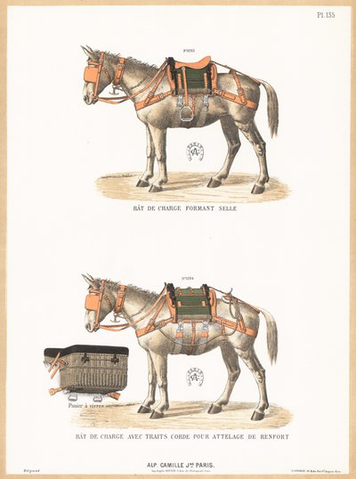 Burros con monturas de English School