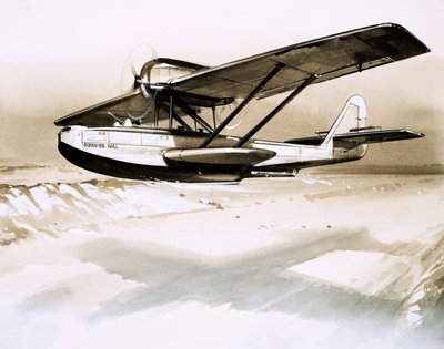 Dornier Wal, hidroavión alemán bimotor de English School