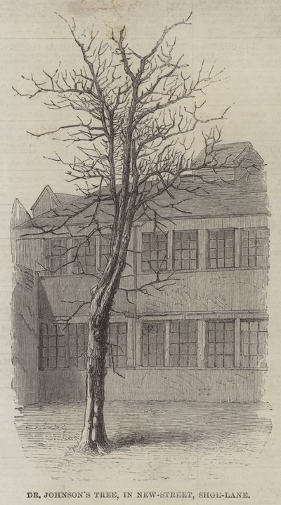 El árbol del Dr. Johnson, en New-Street, Shoe-Lane (grabado) de English School