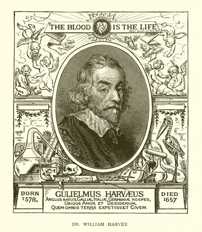 Dr. William Harvey de English School