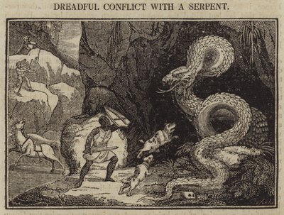Terrible conflicto con una serpiente de English School