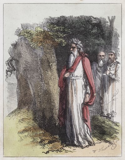 Druidas de English School