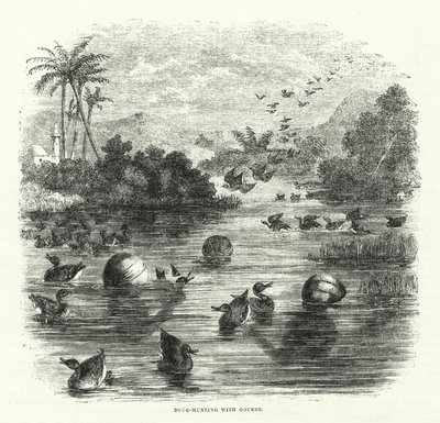 Caza de patos con calabazas (grabado) de English School
