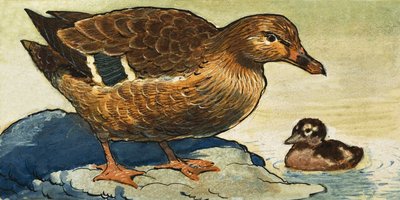 Pato y patito de English School