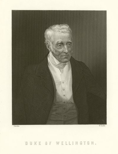 Duque de Wellington de English School