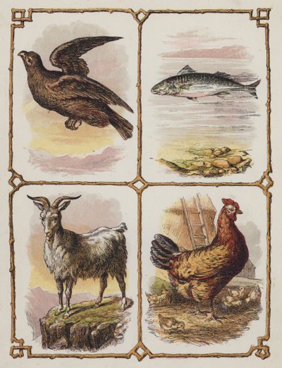 Águila, Pez, Cabra, Gallina (litografía en color) de English School