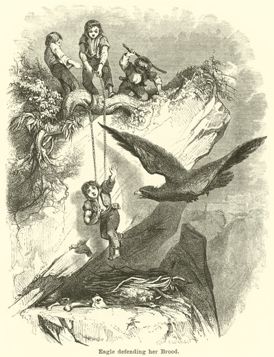Águila defendiendo su nidada de English School