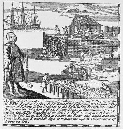 Primeras etapas de pesca, ilustración del Volumen IV de 
