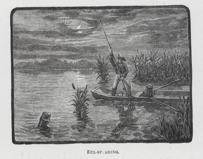 La anguila (grabado) de English School