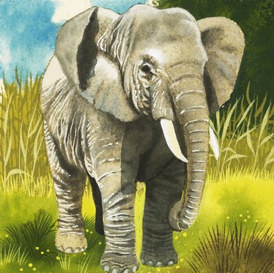 Elefante de English School