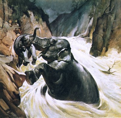 Elefante salvando a su cría de English School