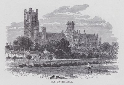 Catedral de Ely de English School