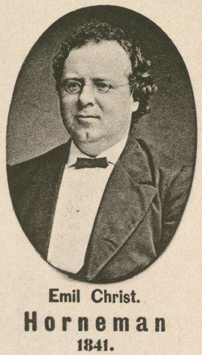 Emil Christian Horneman de English School