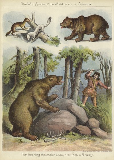 Encuentro con un oso grizzly de English School