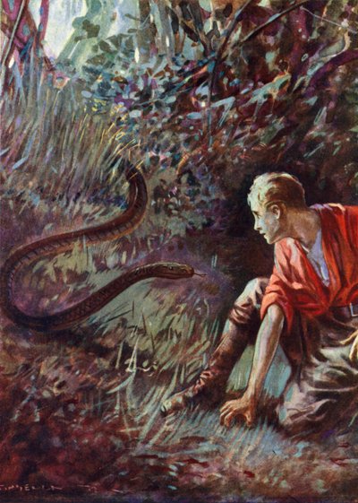 Encuentro con una serpiente en la jungla de English School