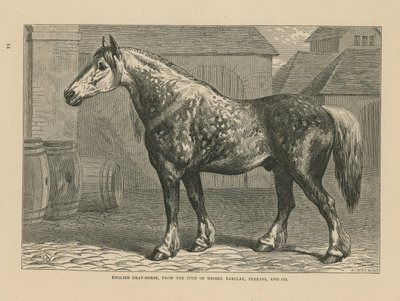 Caballo de tiro inglés de English School