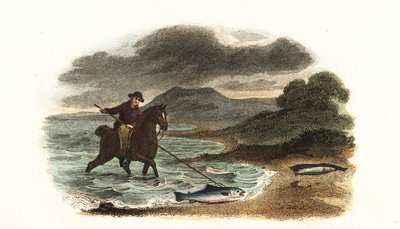 Pescador inglés Graham cazando salmones en los bajíos montado a caballo con una lanza de 5 metros y 3 puntas de English School