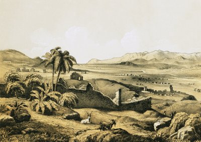 Éfeso desde el sur de English School