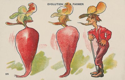 Evolución de un agricultor (litografía en color) de English School