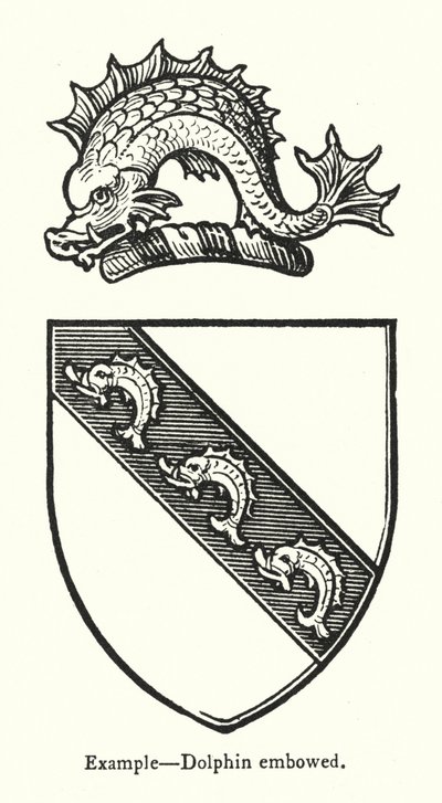 Ejemplo, Delfín arqueado de English School
