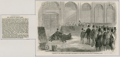 Exhibición del domador de caballos americano en presencia de Su Majestad y la Corte, en el Palacio de Buckingham de English School