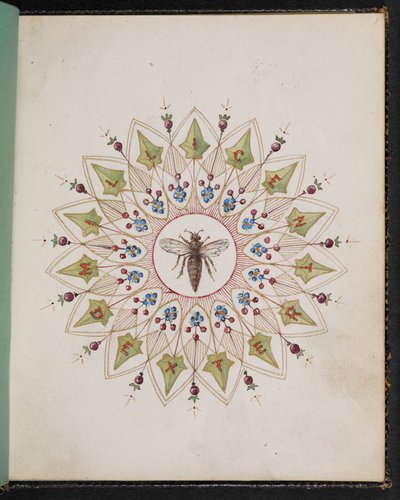 F.1: Insecto dentro de un diseño. Cuaderno de bocetos con escenas de cuentos de Charles Dickens (acuarela sobre papel) de English School