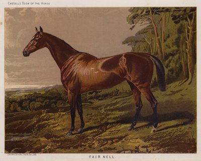 Bella Nell de English School