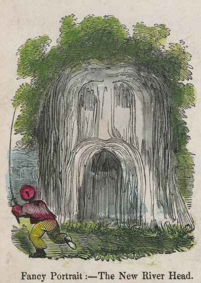 Retrato Fantasía - la Cabeza del Nuevo Río de English School