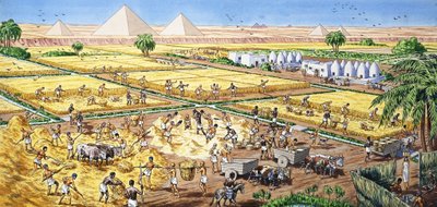 Agricultura en Egipto de English School