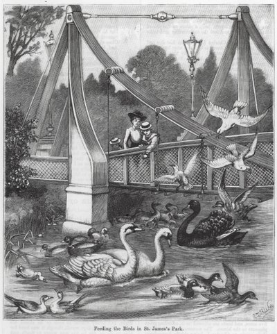 Alimentando a los pájaros en St James