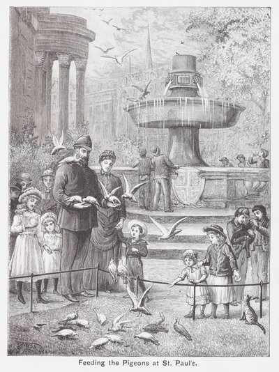 Alimentando a las palomas en San Pablo (grabado) de English School