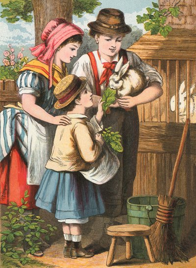 Alimentando al conejo de English School
