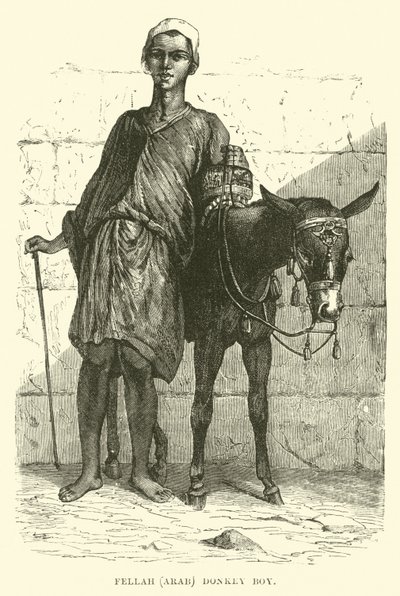 Fellah, árabe; niño con burro de English School